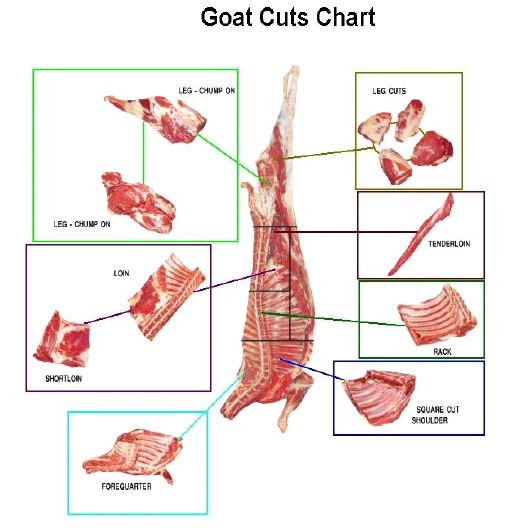 Meat Cut Pictures